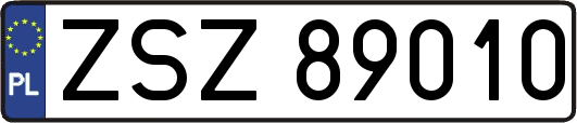 ZSZ89010