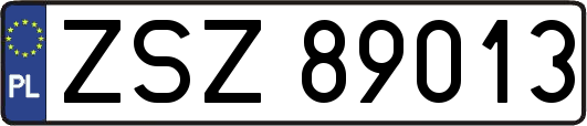 ZSZ89013