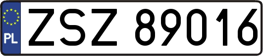 ZSZ89016