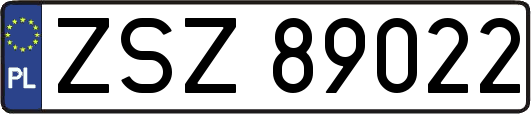 ZSZ89022