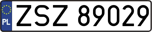 ZSZ89029