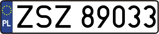 ZSZ89033