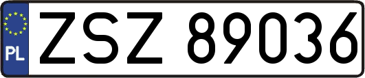 ZSZ89036