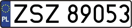 ZSZ89053
