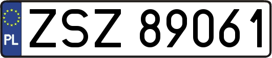 ZSZ89061