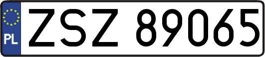 ZSZ89065