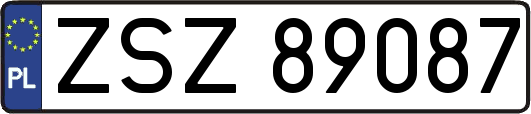 ZSZ89087