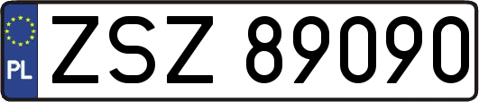 ZSZ89090