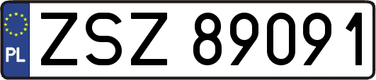 ZSZ89091