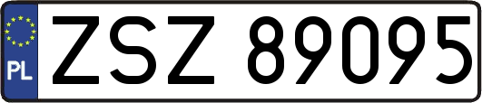 ZSZ89095
