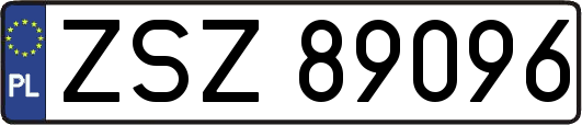 ZSZ89096