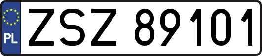 ZSZ89101