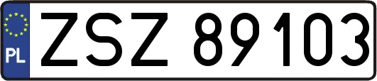 ZSZ89103