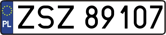 ZSZ89107