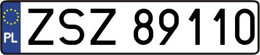 ZSZ89110