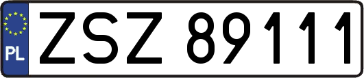 ZSZ89111
