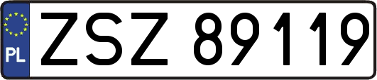 ZSZ89119