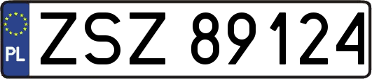 ZSZ89124