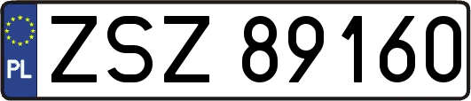 ZSZ89160