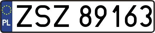 ZSZ89163