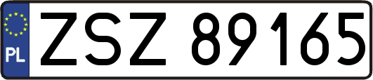 ZSZ89165