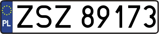 ZSZ89173