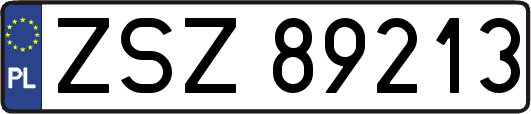 ZSZ89213