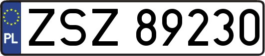ZSZ89230
