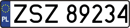 ZSZ89234