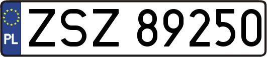 ZSZ89250