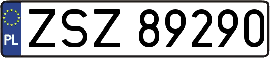ZSZ89290