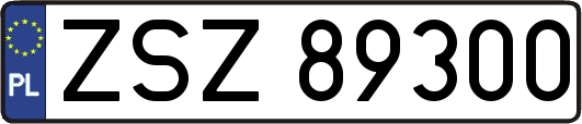 ZSZ89300