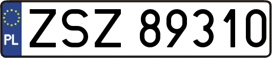 ZSZ89310