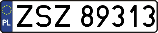 ZSZ89313