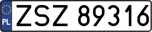 ZSZ89316