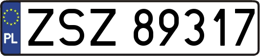 ZSZ89317