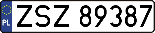 ZSZ89387