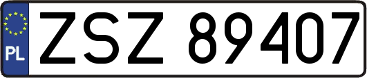 ZSZ89407