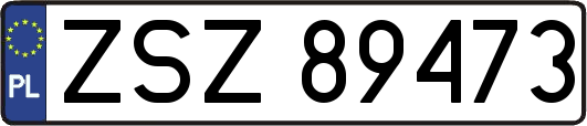 ZSZ89473