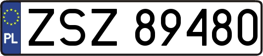 ZSZ89480