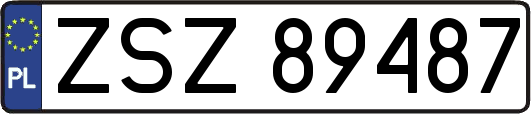ZSZ89487