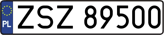 ZSZ89500