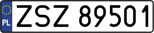 ZSZ89501