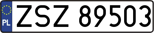 ZSZ89503