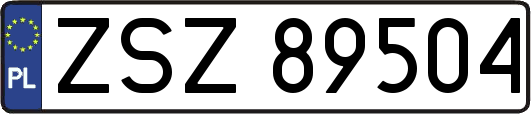 ZSZ89504