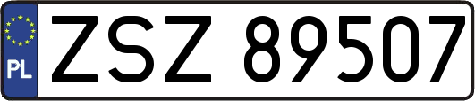 ZSZ89507