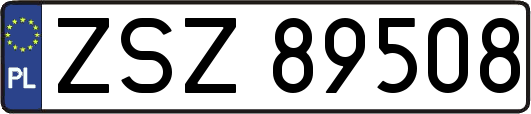 ZSZ89508
