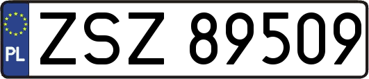 ZSZ89509