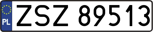 ZSZ89513
