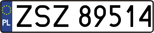 ZSZ89514